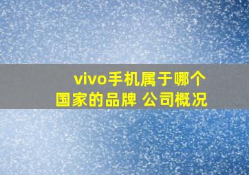 vivo手机属于哪个国家的品牌 公司概况